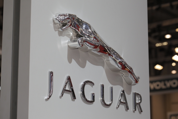 Jaguar_002