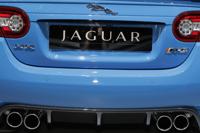 Jaguar_010