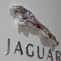 Jaguar_002