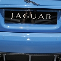 Jaguar_010